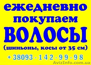 Волосы Павлоград Скупка волос в Павлограде #1521718