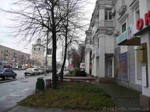 Сдам в аренду под офис-магазин , пр.Ленина, центр Запорожья, 61 кв.м #1530538