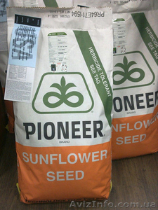 Продаём семена семечки кукурузы для посева #1534560