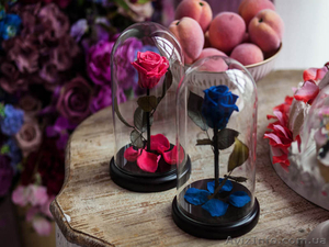 Проснись,  скоро праздники! Порадуй свою любимую с помощью розы в колбе,  которая  #1533322