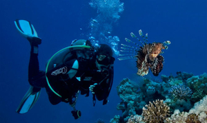 Подарочные сертификаты дайвклуба «Матерые бобры» Дайвинг в Севастополе #1530020