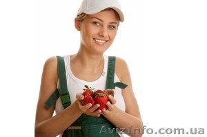 Легальная работа в Финляндии #1534319