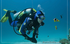 Подводная экскурсия в Голубой бухте Севастополя #1530018