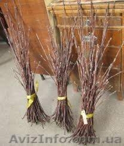 ЧЕРЕНКИ персиков/нектарина!! Большая коллекция новых сортов!! #1531467