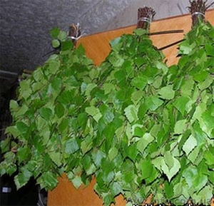 Віники для бані березові #1536749