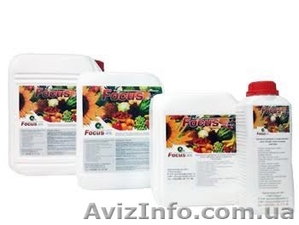 Гумат Focus – жидкое комплексное органоминеральное удобрение #1538540