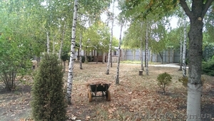 Продам участок 9, 8 соток в Холодной балке #1534720