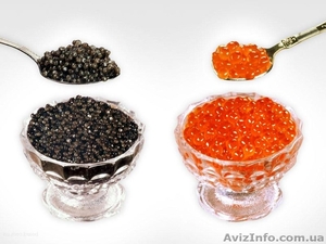 Икра красная.Икра черная #1534243