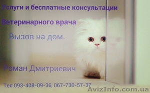 Ветеринар вызов на дом Харьков тел.. О93-408-О9-36 #1531689
