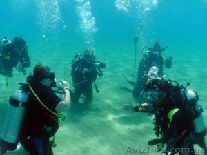 Обучение дайвингу в Севастополе. Международная сертификация #1530033