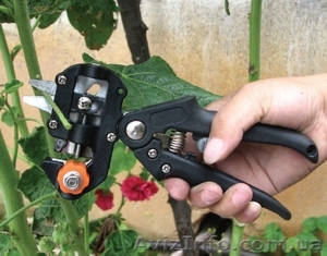 Секатор прививочный Verdi Premium #1530860