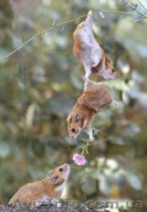 Страхование здоровья и жизни от несчастного случая #1537410