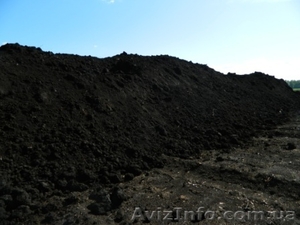 Продам торф низинный оптом и в розницу . #1532857