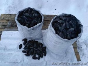 Уголь синтетический. Твёрдотопливный брикет из технического углерода. #1533098