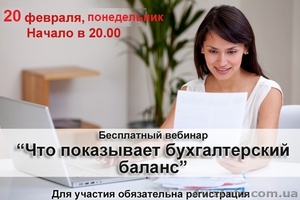 Что показывает бухгалтерский баланс? Узнайте на бесплатном вебинаре 20 февраля #1535556