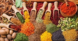 Специи,  приправы оптом и в розницу от 100 грамм #1545765