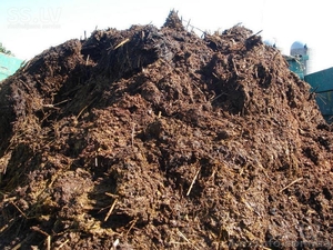 Перегной конский.  Удобрение почвы. #1546878