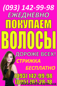Продать волосы в Чернигове дорого Куплю волосы дороже всех Скупка волос Украина #1543091