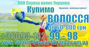 Продати волосся в Полтаві дорого Куплю волосся Полтава #1545517