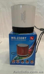 Колонка WS-230BT #1545982