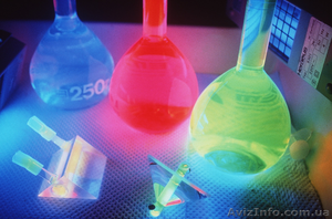 Репетитор по биологии в Днепропетровске. Подготовка к ЗНО в РЦ Алгоритм #1542944