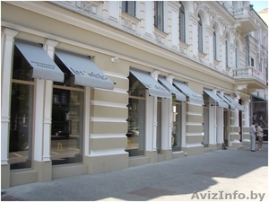 Маркиза с падающим локтем #1545239