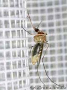 Москитные сетки в Днепре #1539732