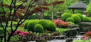 Курс ландшафтного дизайна .Твой успех .Херсон #1547437