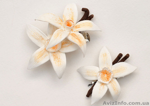 Ванилин порошкообразный от производителя #1540426