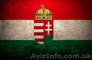 Курсы венгерского языка в Херсоне. УЦ Твой Успех. #1544742