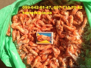 Креветка Корм для аквариумных рыб #1552132