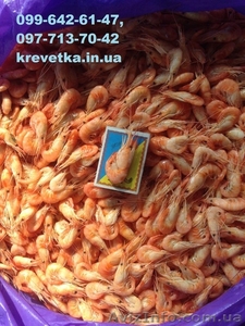 Креветка на переработку #1552179