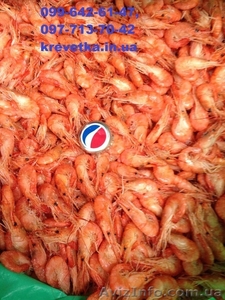 Сеяная креветка черноморская и азовская  #1552124