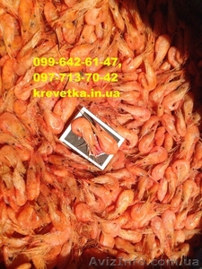 Креветка микс продаю  #1552114