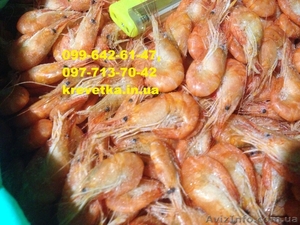 Креветка криветка  #1552118