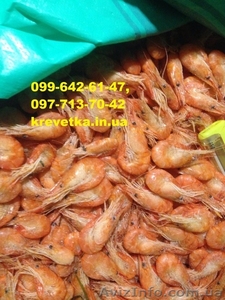 Крупная азовская креветка (кабан) #1552117