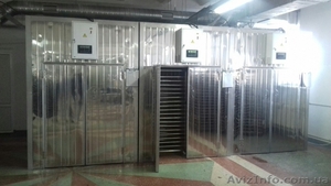 Сушильный шкаф для фруктов, овощей,  макарон #1518604