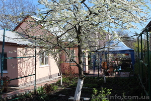 Два дома на участке 5, 8 сот. #1554232