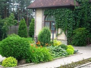 Курс Ландшафтний дизайн #1552434