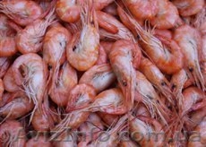 Черноморская креветка! #1548201