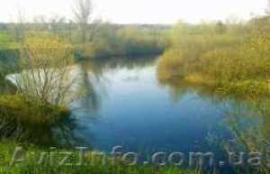 Продаю участок в Царичанке #1552553