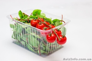 Одноразовая упаковка: блистерная,  упаковка для суши,  фруктов,  тортов #1552197