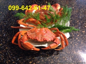 Продается крупный краб #1552175