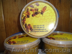 Апикомплекс № 3 #1554539