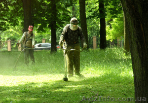 Разнорабочие на кошение травы в Польшу #1552273