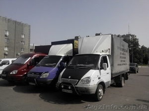 Грузоперевозки по Николаеву, области с опытными грузчиками #793895