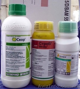 Продам гербициды фунгициды инсектициды Хорус Хорус Базіс Кораген и другие. #1548273