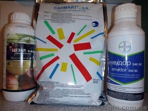 Продам инсектицидыфунгициды гербициды Круізер Регалис Нурел Д Карате Зеон и друг #1551952