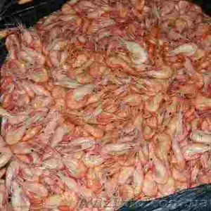 Продам черноморскую креветку #1550165