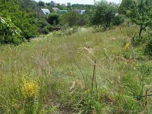 Продам участок 12 соток в живописном районе Киевской области. #1559614